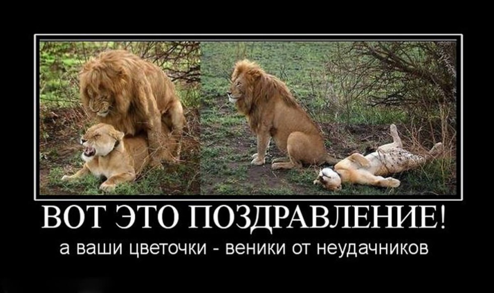 Leo demotivator