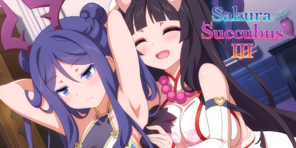 S-20-12 power supply circuit