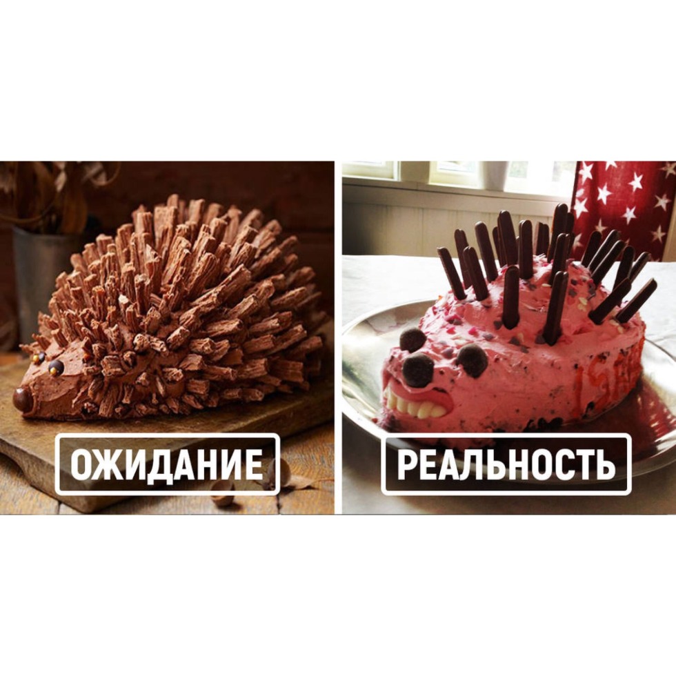 Cake wait and reality