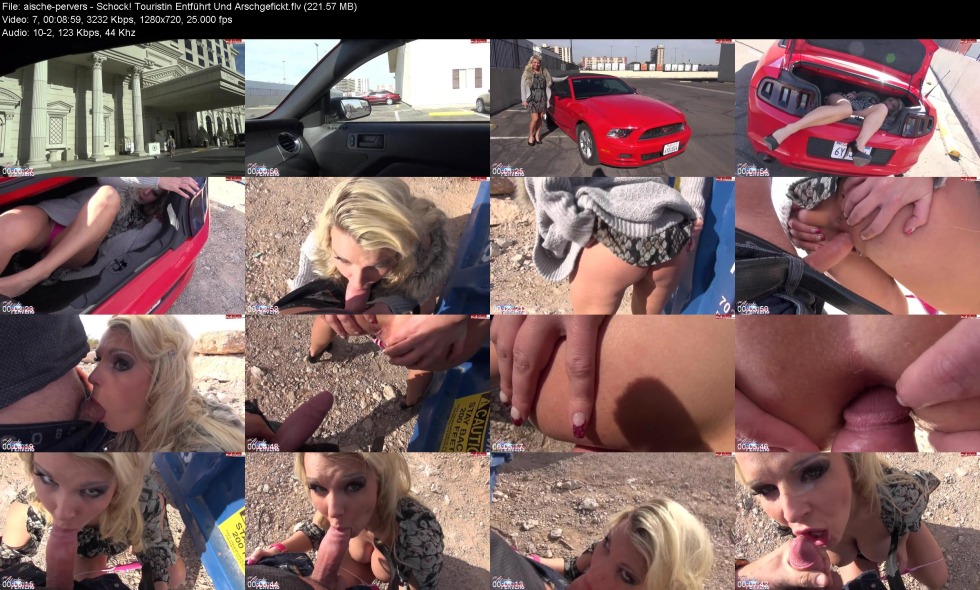 Creampie from the Locksmith Guy - Aische Pervers