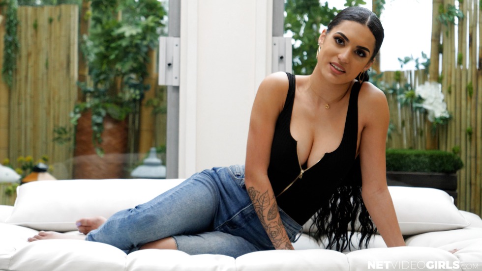 Harley Quinn Anime Hentai