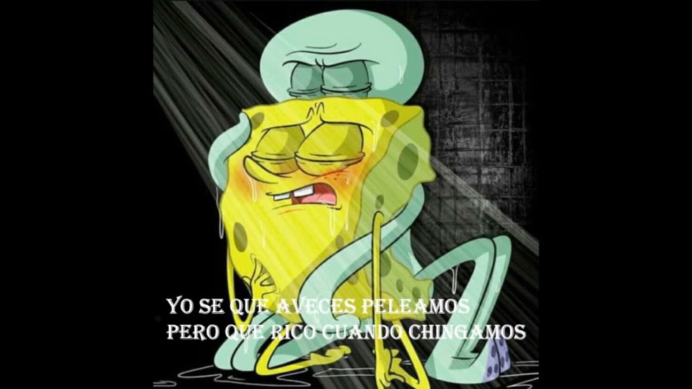 Member of the sponge of Bob