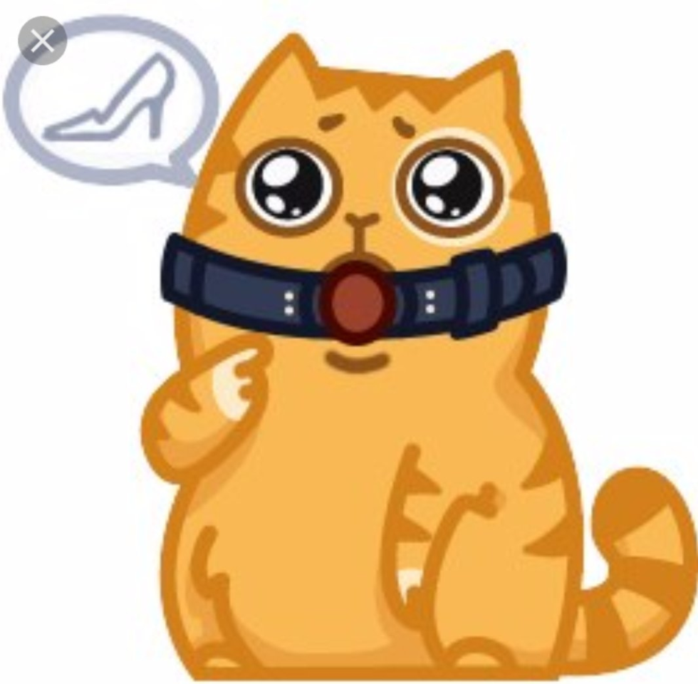 The inscription Pornhab