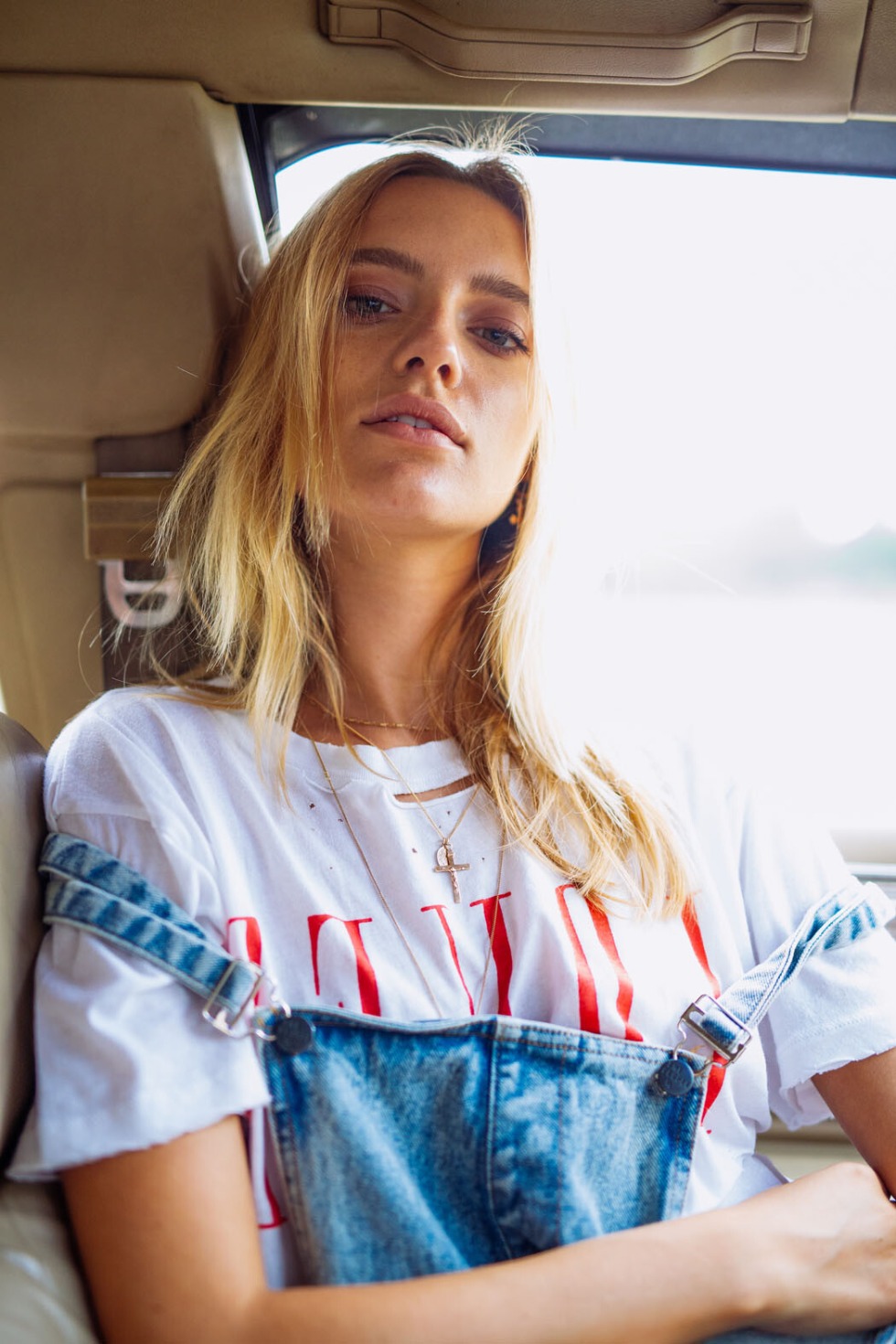 Scheme of inheritance by law