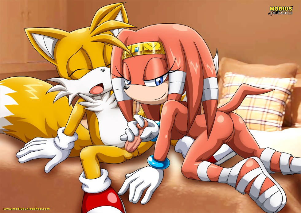 Sonic and Ruzh Hentai comics