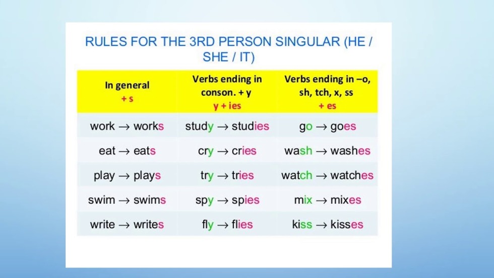 D.VA (Black Cat Skin)