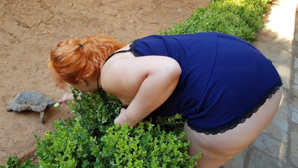 Katherine Porto model