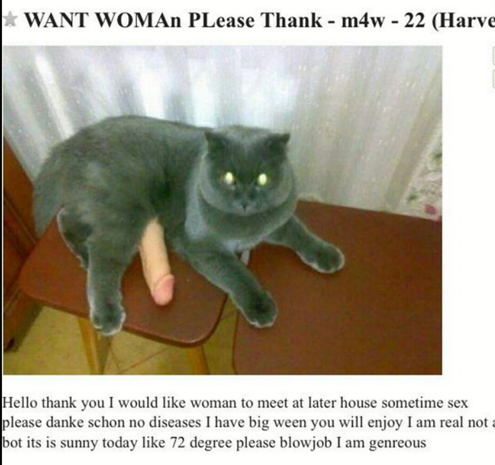 Connection diagram of rotary cylinders EO 2621