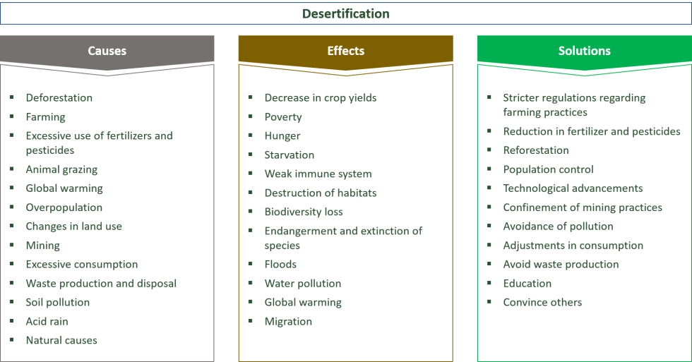 Match the Words Tasks