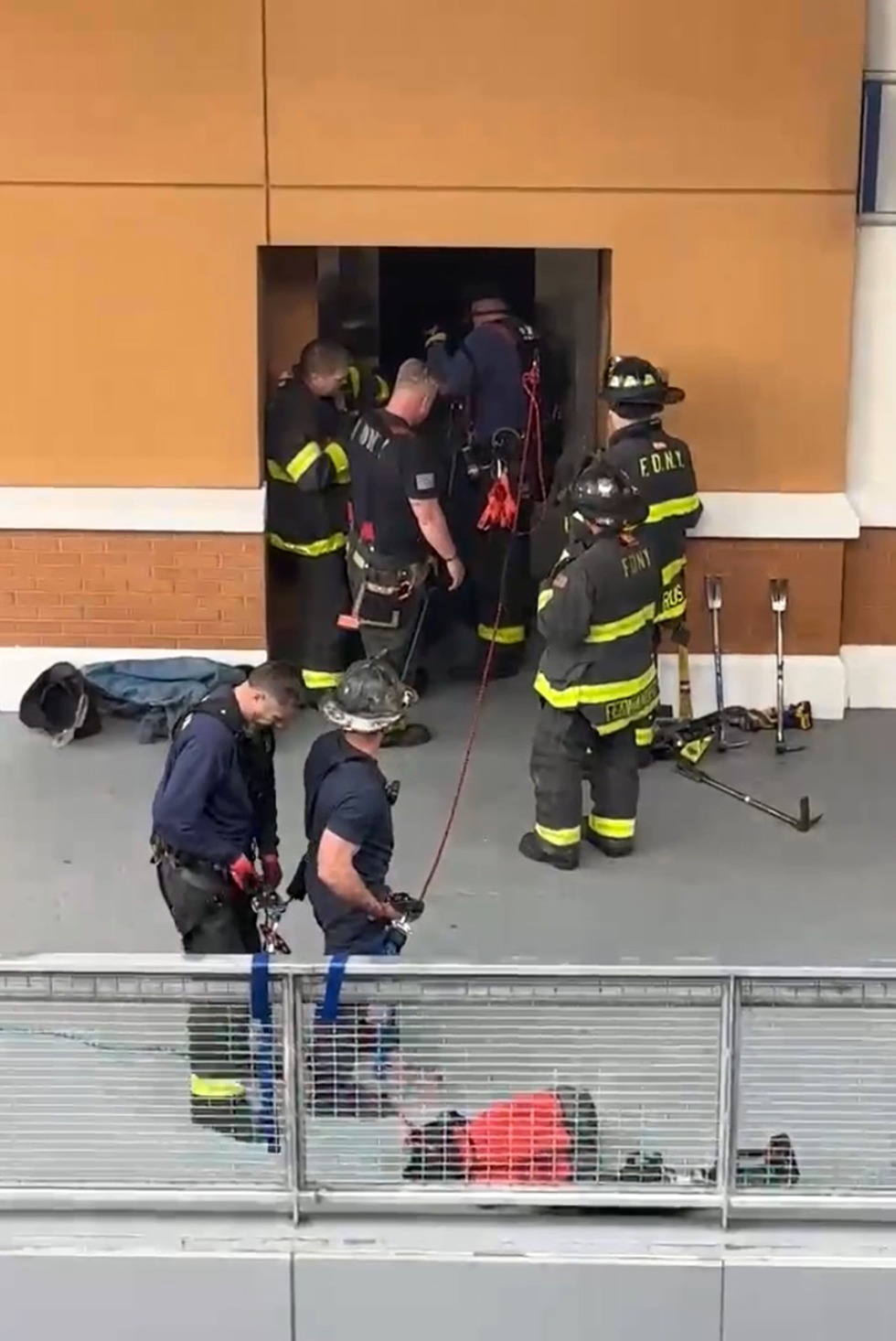 Frescoes Dream Forest AB55-COL1