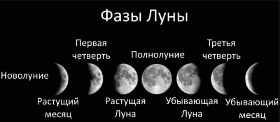 What are the phases of the moon