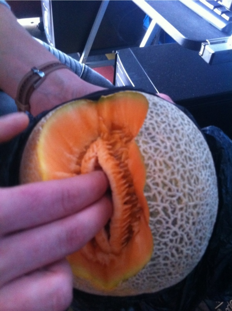 Kandy Cantalope