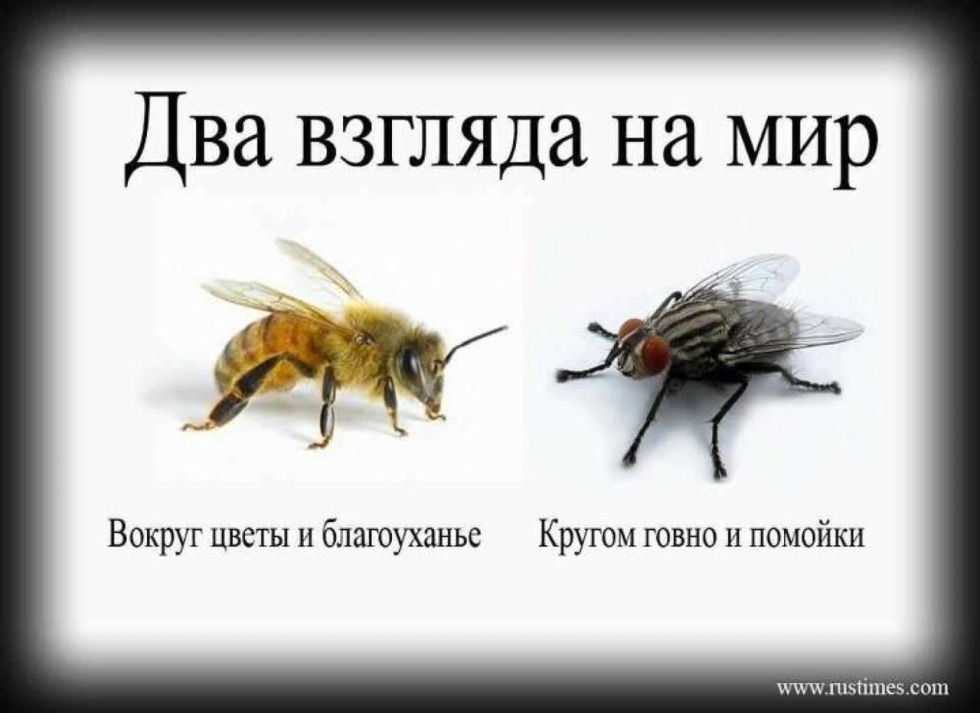 Pictures with the inscription go fuck