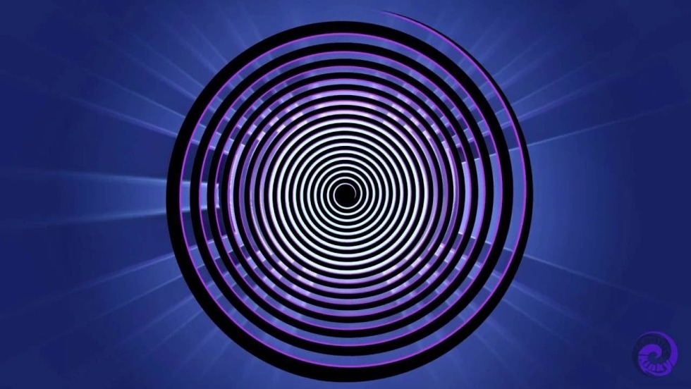 Programmer CV sample