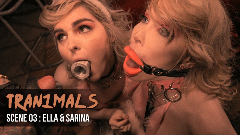 Sarina Valentina Penis