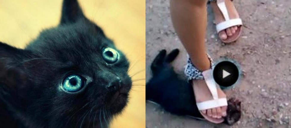 Correspondence with a girl