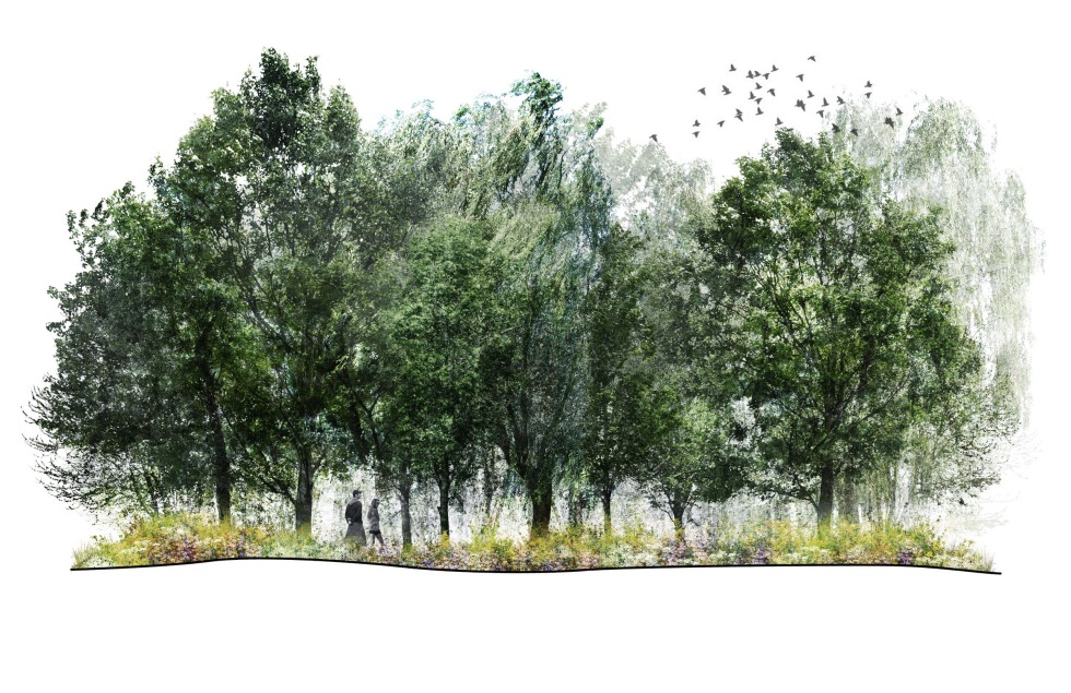 Tavna Bandikut and Coco