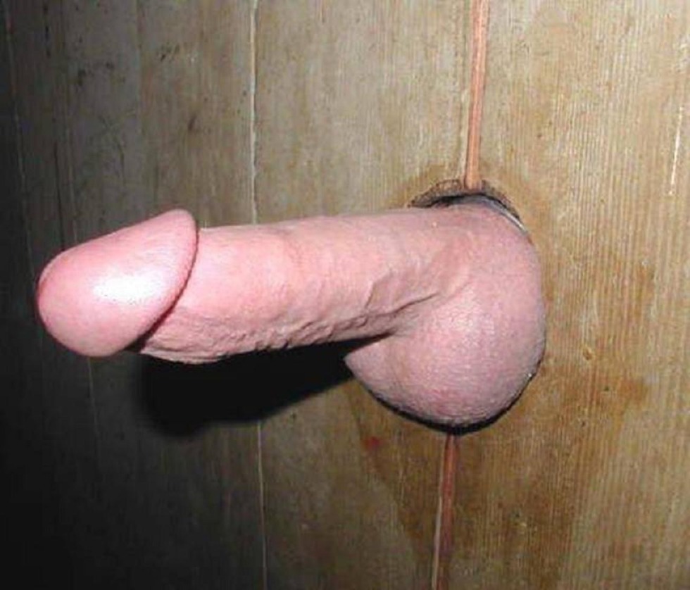 Staisi Silver in the toilet through a hole