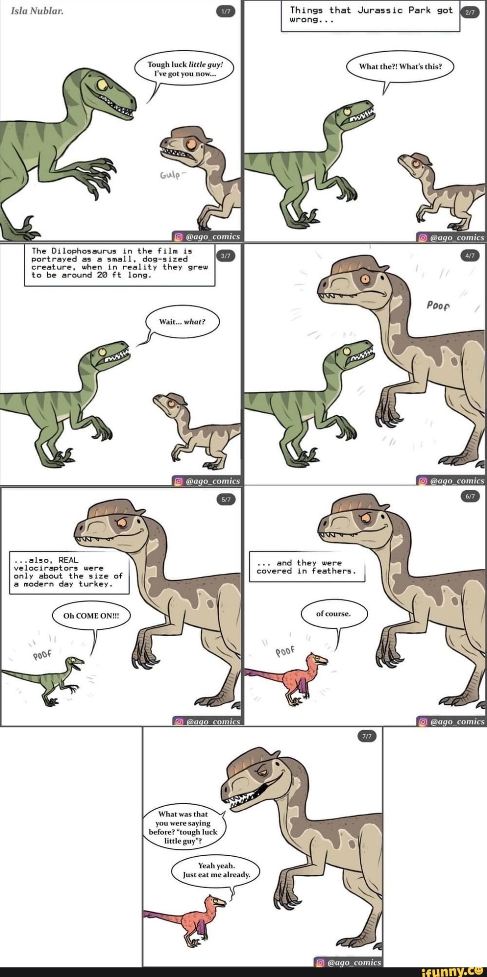 Cycupor comparison with a person