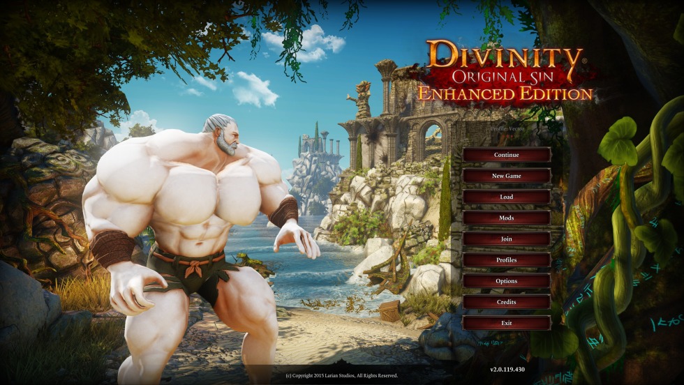 Divinity Original Sin 2 R34