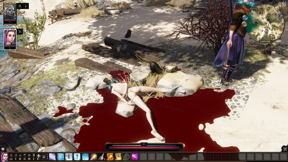 Divinity Original Sin 2 lizards