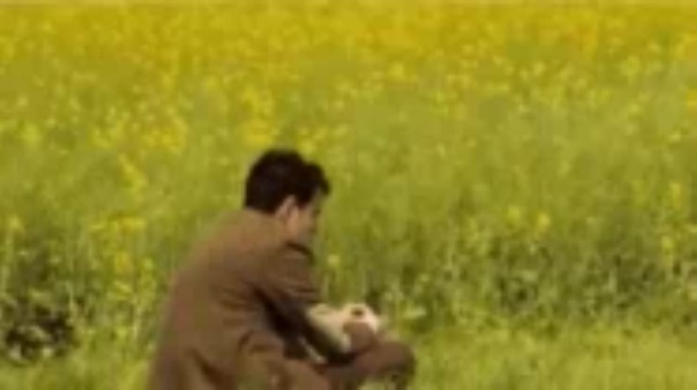 Dangerous Henry Captain Chel