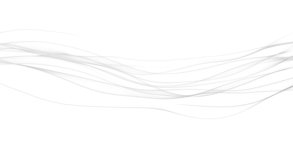 Ljourbring Champion Champion LS5001N