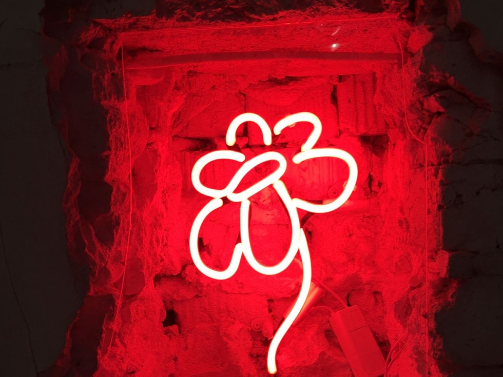 Red -haired girl winter