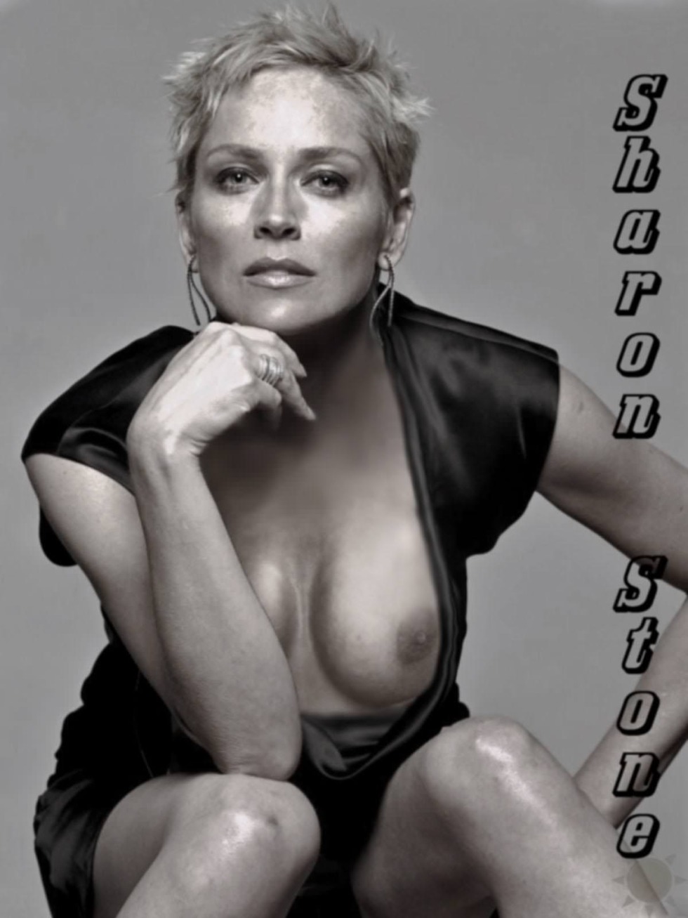 Sharon Stone porn movie