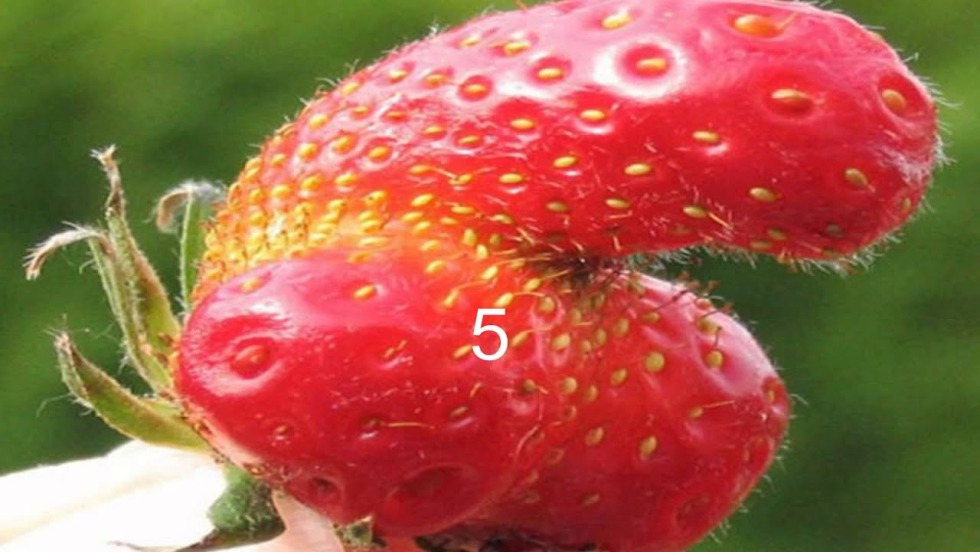 Good morning positive wishes