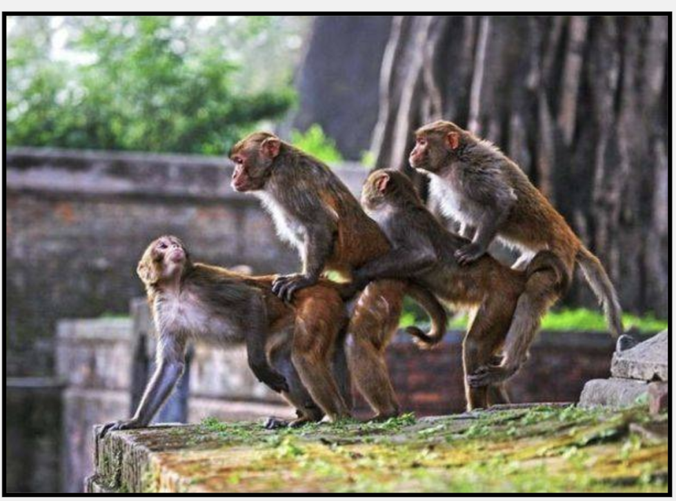 Ariel and Ursula Male version