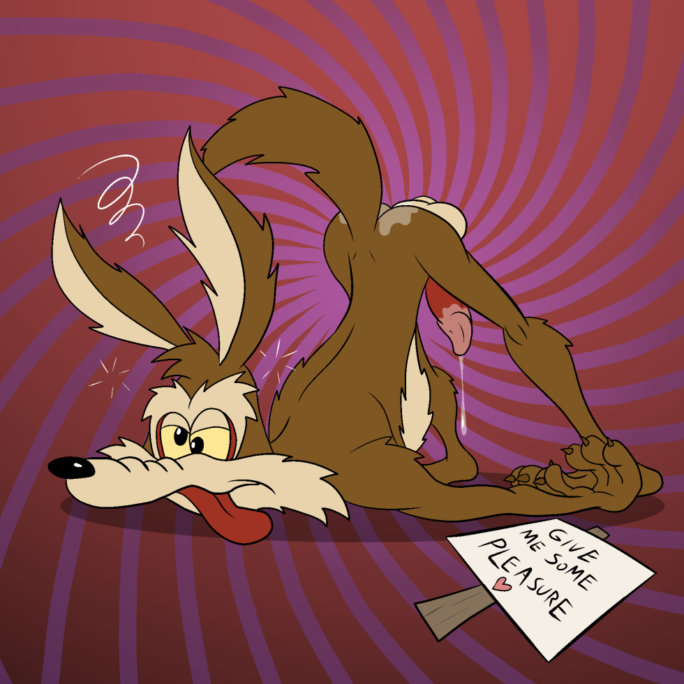 DVD Porn films collection Big busty