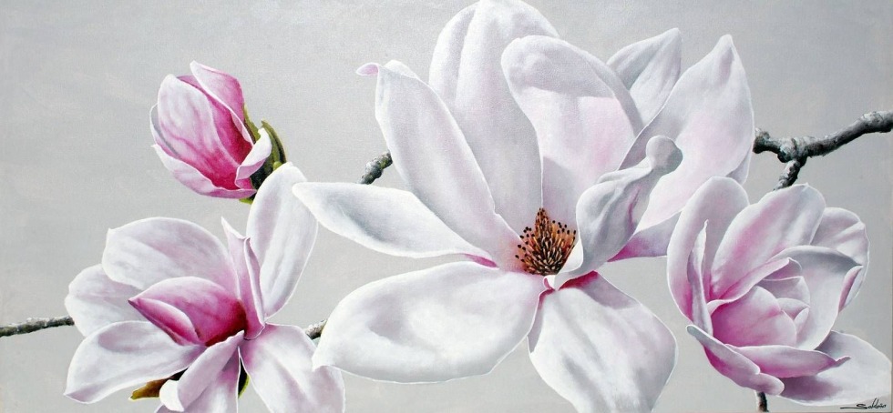 Daria Flora Floraadaria