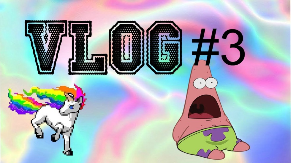 Cactus on a pink background