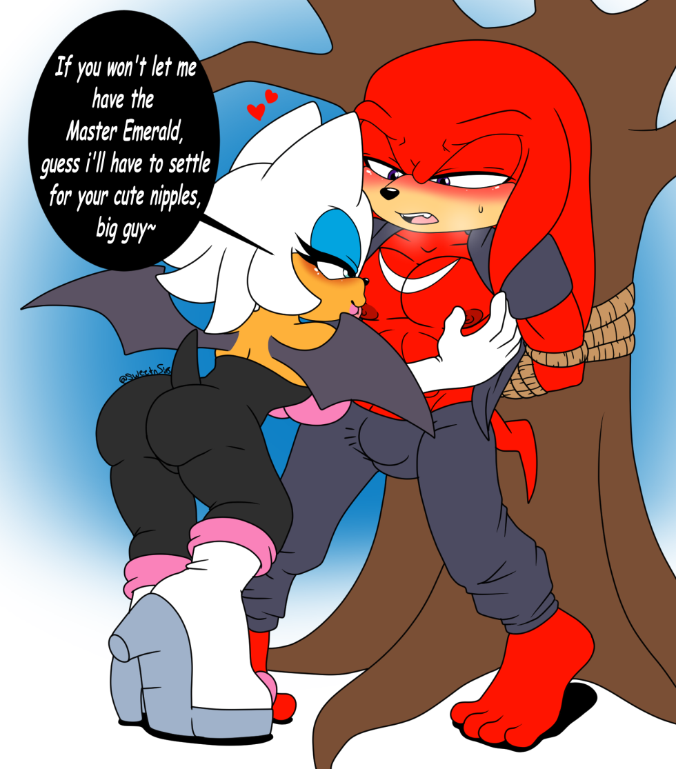 Sonic and Naklz Hentai XXX