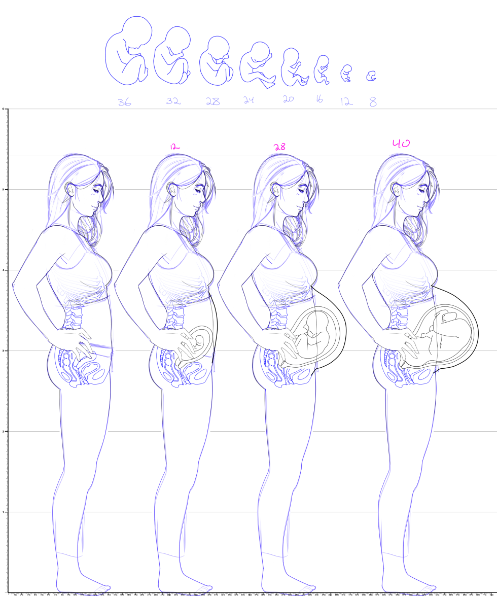 The reference is pregnant