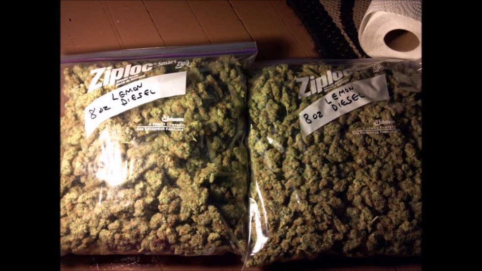 Flavor Express 100 g