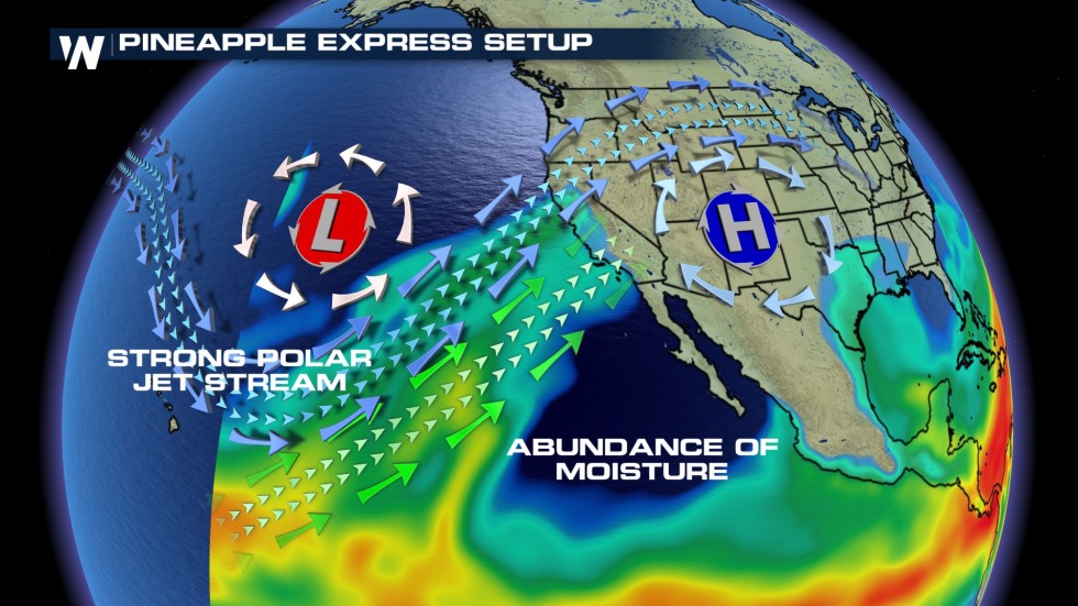 PineApple Express India Band