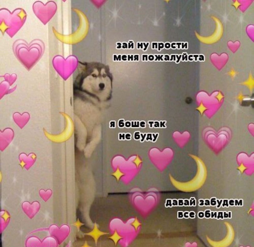 Picchi with an apology