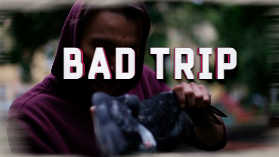 Bad Trip to all of our