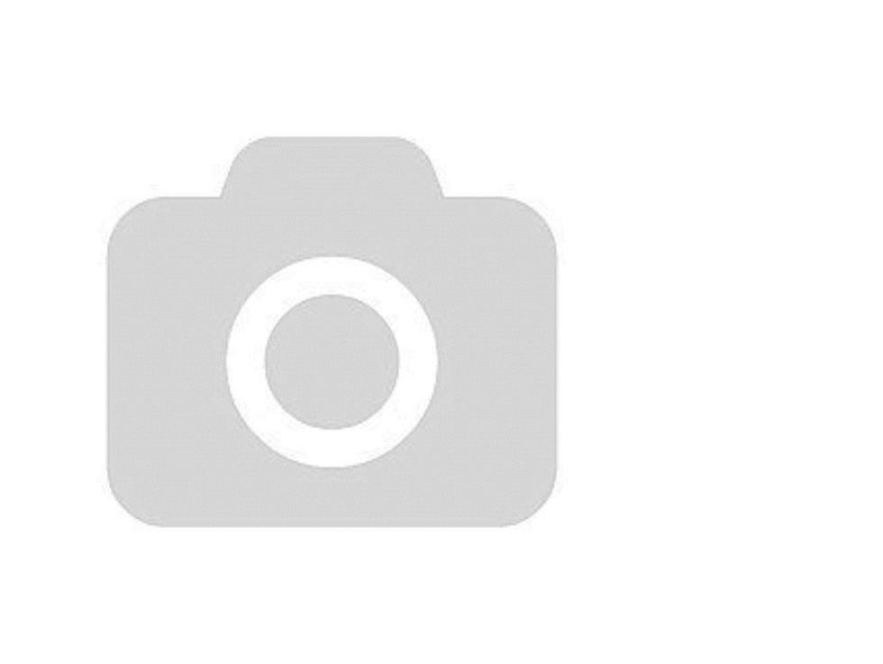 Morgan Merlin actress