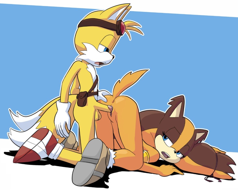 Hentai Sonic Tales Girl