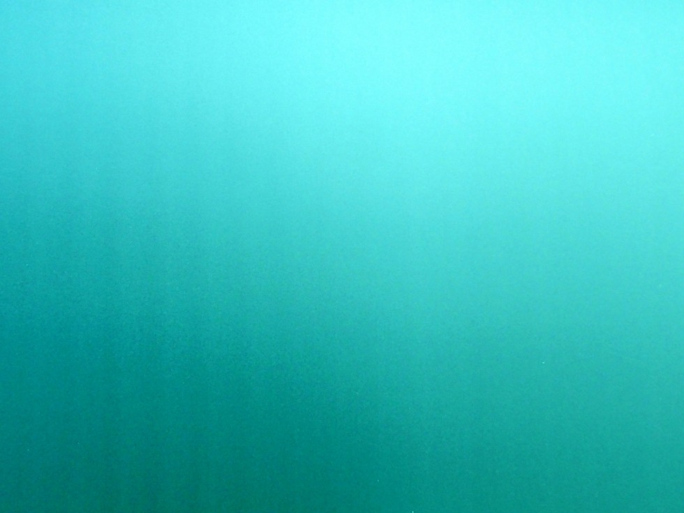 Green-blue color name