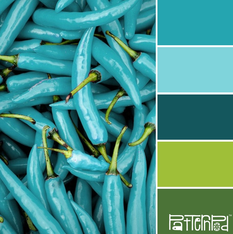 Color palette Coral turquoise