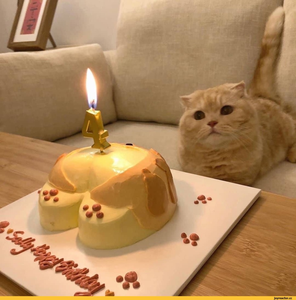 Pollydoll Privat recording ended