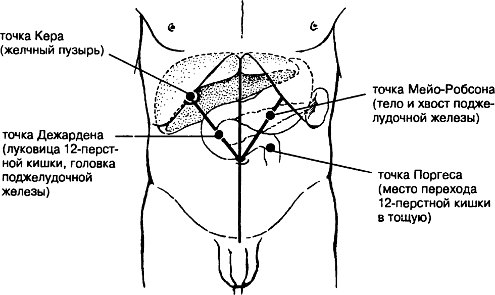 Gall bladder projection point