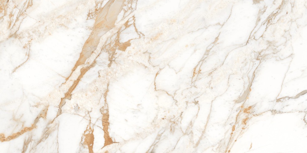 Crammary border Calacatta ORO 120x60