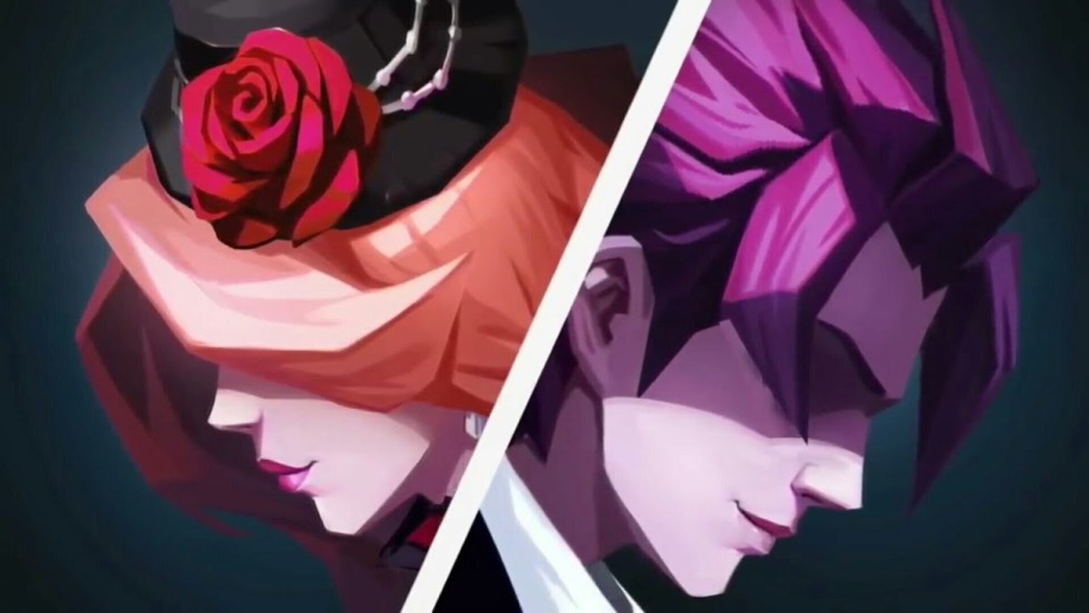 White and gray cats gifs