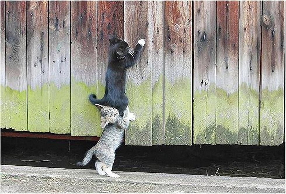 Happy Jam's Day Congratulations