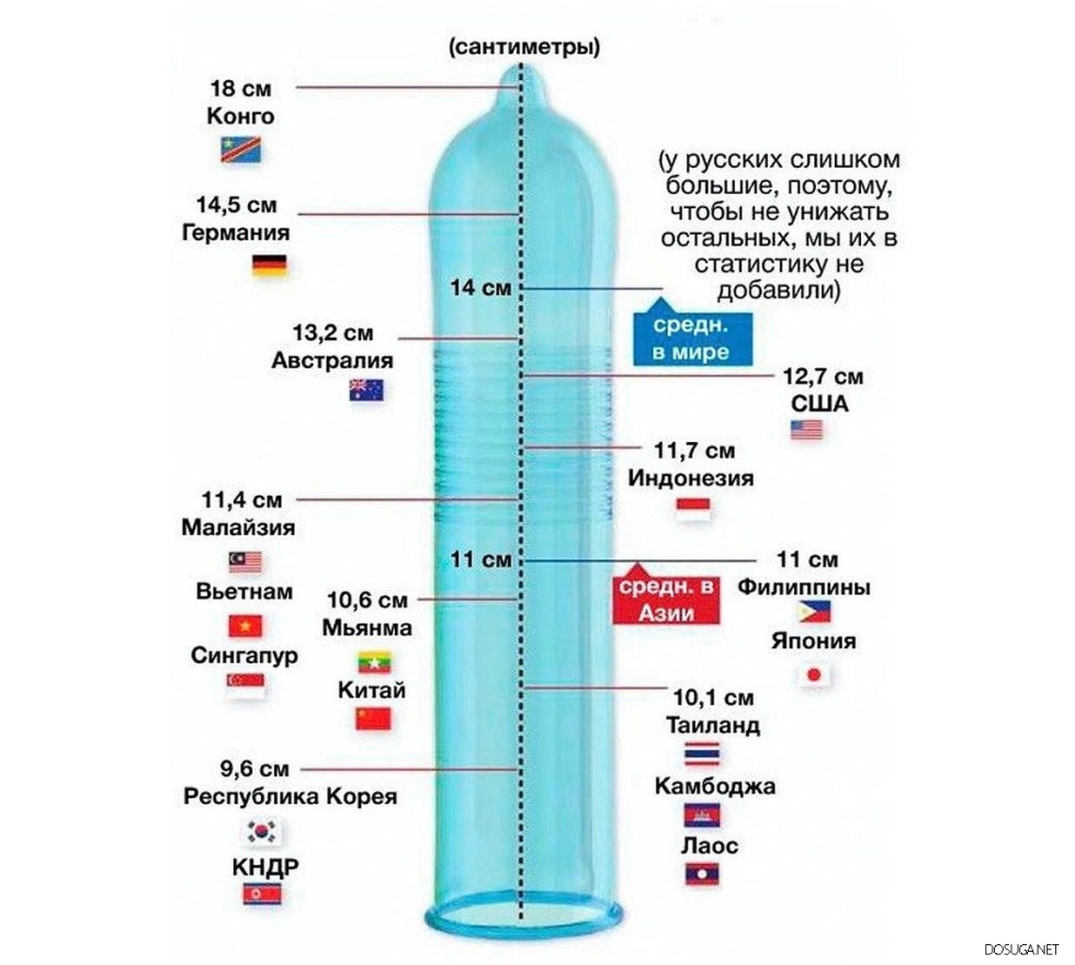 How long and thickness should be a normal member